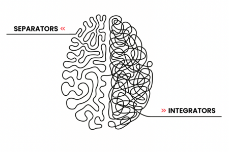 Deconnectie_separators_integrators.png