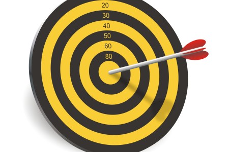 Roos doel smart pijl boog darts freeimages.com 04 06 2014.jpg