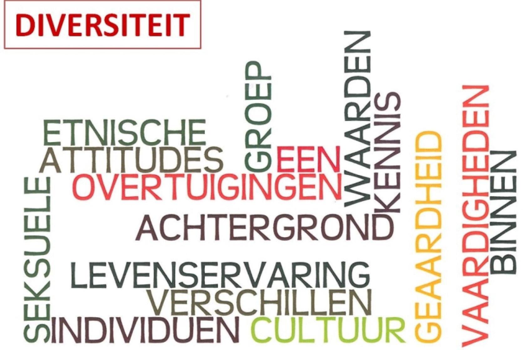 eigenthuisdiversiteit.jpg