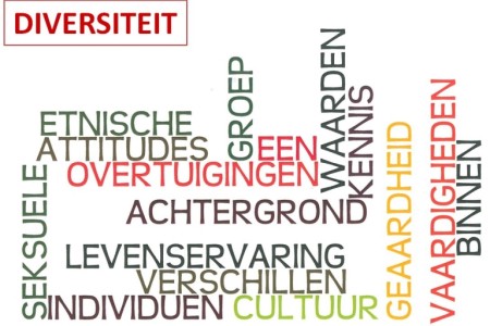 eigenthuisdiversiteit.jpg