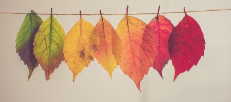 Toolbox: Het veranderDNA van je organisatie